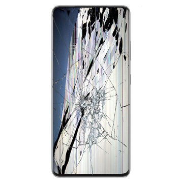 Samsung Galaxy S21 Ultra 5G LCD and Touch Screen Repair - Silver