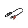 AV Cable 5P DIN / 2x RCA - 0,2m
