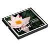 Kingston Compact Flash Card - 8GB