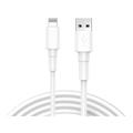 Reekin Fast Charging Lightning Cable - 1m, 2.4A - White