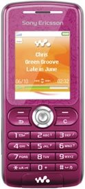 Sony Ericsson W200i accessories