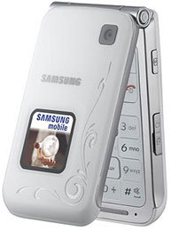 Samsung E420 accessories