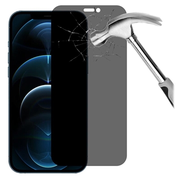 iPhone 12 Pro Max Privacy Tempered Glass Screen Protector