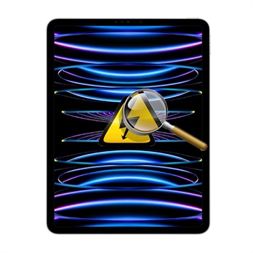 iPad Pro 11 (2022) Diagnosis