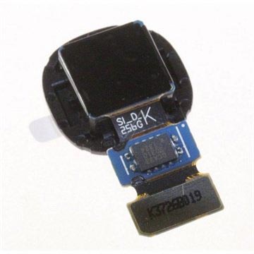 Deal Detail