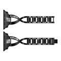 Apple Watch (38/40/SE/41/42mm) Diamond Steel Women Watch Strap - Black