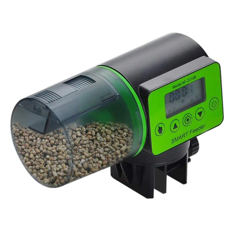 automatic fish feeder uk