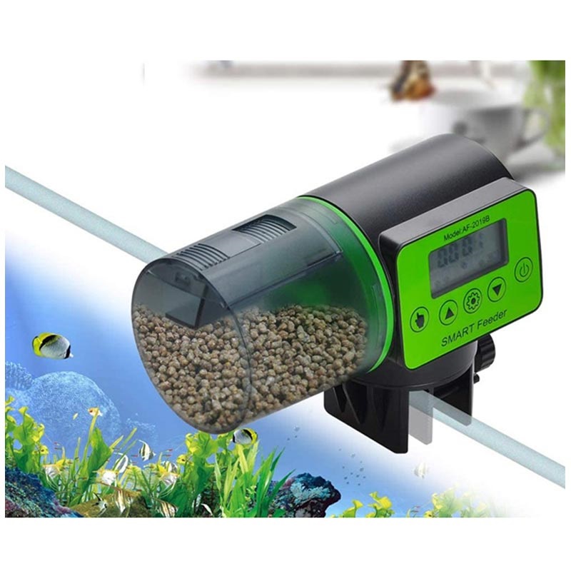 automatic fish feeder uk