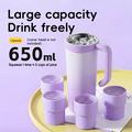 BDL-009PRO 2-in-1 Cordless Juicer / Blender with Handle - 650ml - Purple