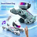 BG1546 AI Robot Dog Toy with Voice Control for Kids