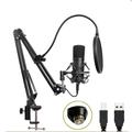 BM-700 Microphone with adjustable arm and pop filter for podcasts and streaming (Open Box - Bulk Satisfactory)