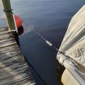 Bungee Dock Line Mooring Rope with Foam Float for Boats - 1.2m to 1.68m