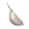 Cute Dumpling Squishy Stress Relief Toy with Keychain - White