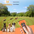 D900 6-in-1 Ultrasonic Dog Repeller and Anti-Bark Training Device - Black