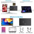 F156P02 15.6" Full HD Portable Monitor with Kickstand - Black