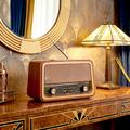 Forever VINCENT JB-120 BT Electro AM/FM/SW Radio - USB, microSD, 1200mAh Battery