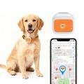 G01 Waterproof Smart Pet GPS Tracker 4G/WiFi - L