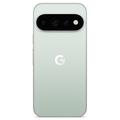 Google Pixel 11 Pro - 256GB - Fog