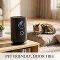H1 Desktop Air Purifier with Negative Ion and HEPA Filter - Black