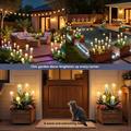 IP65 Waterproof 6-Head Solar Jellyfish Garden Lights