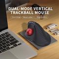 Jomaa JOM255 Ergonomic Trackball Wireless Mouse - Black