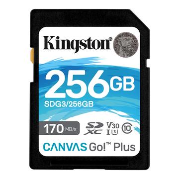 Kingston Canvas Go! Plus microSDXC Memory Card SDG3/256GB - 256GB