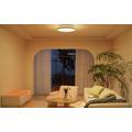 LEPRO T1 Smart Ceiling Light with AI Light Scenes 1800 lm