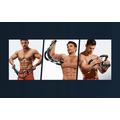 Merach MR-2500B1 Chest Press Machine for Home Workouts