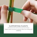Moonspry Adjustable Plant Ties - 30 Pcs.
