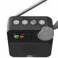 P2D Portable DAB+ Radio with Bluetooth 5.0 - 1.47" - Black
