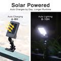 P48 Solar Clamp Light with Motion Sensor, Remote Control - White Light