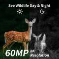PR902LTE 4G Trail Camera / Hunting Camera with Triple PIR Detection - Camouflage
