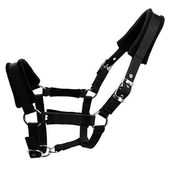Padded Horse Halter 25mm - Size M - Black
