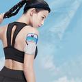 Pictet.Fino PF105 Dual Pocket Sports Armband for Phones up to 7" - Blue