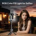 Q34 AI Anti-Shake Selfie Stick Gimbal Stabilizer with RGB Beauty Light - Black
