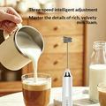 Rechargeable Handheld Milk Frother with 3 Speeds - Black