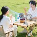 S19 Portable Dual-Head Clip Fan with 5-Speed