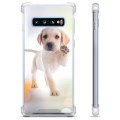 Samsung Galaxy S10 Hybrid Case - Dog
