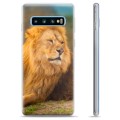 Samsung Galaxy S10+ TPU Case - Lion