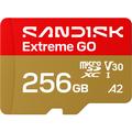 SanDisk Extreme GO microSDXC Memory Card SDSQXGN-256G-GN6MN