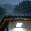 TG-TY19502 144-LED Motion Sensor Wall Light with Solar Panel for Garden and Patio
