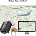 TKSTAR TK935 Waterproof GPS Livestock Tracker - Black