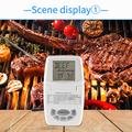 TS-84 Digital Meat Thermometer with Waterproof Probe