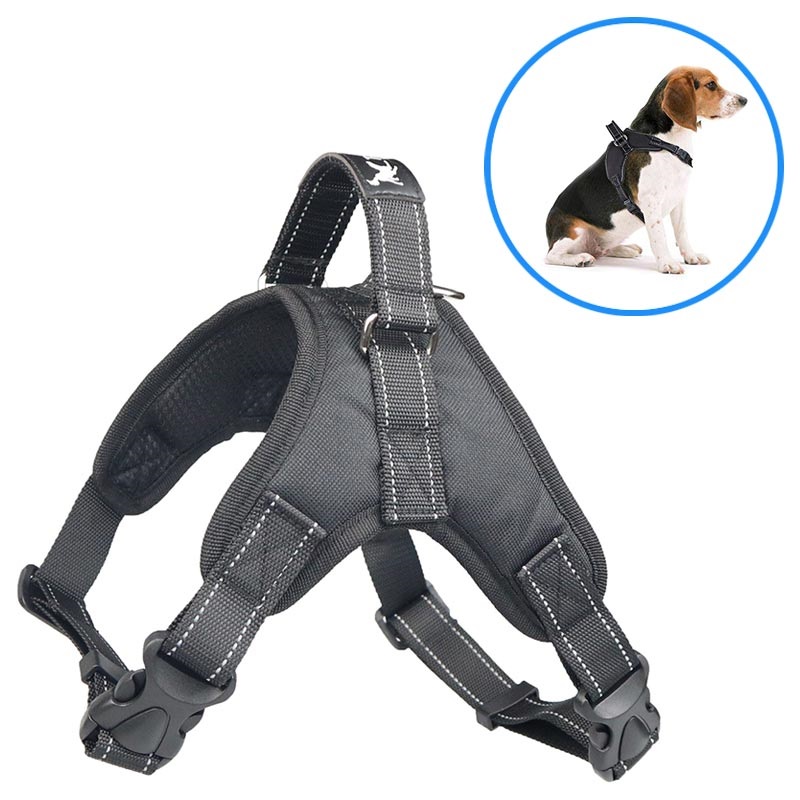 adjustable puppy harness