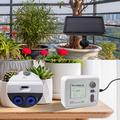 WD-01GD Smart Solar Plant Watering System - Dual Pump, Timer, Adjustable Drip Arrows