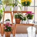 WD-01GDE WiFi Smart Dual Pump Auto Plant Watering System - White