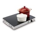 Fritel Family WT 2478 Plate Warm - 400W (Bulk Satisfactory)
