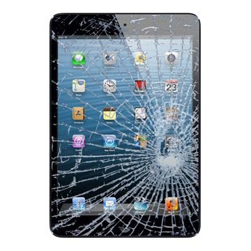 iPad Mini 3 Display Glass & Touch Screen Repair - Black